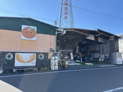 柑橘問屋石澤商店の写真